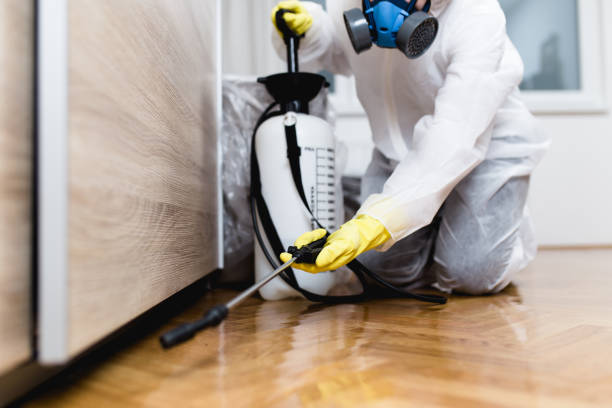 Best Mosquito Control Services  in Odon, IN