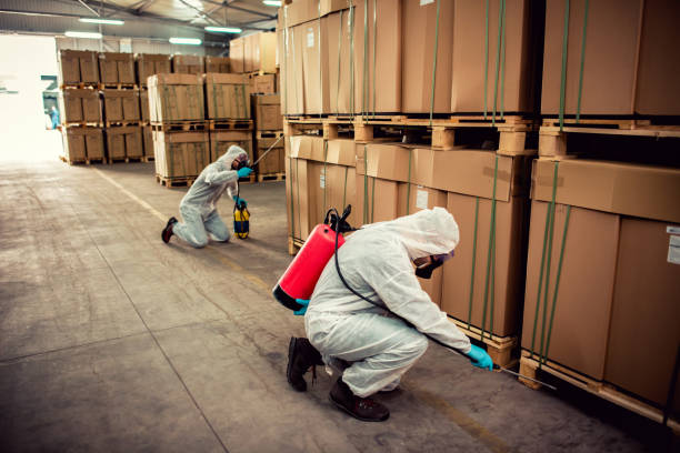Professional Pest Control in Odon, IN