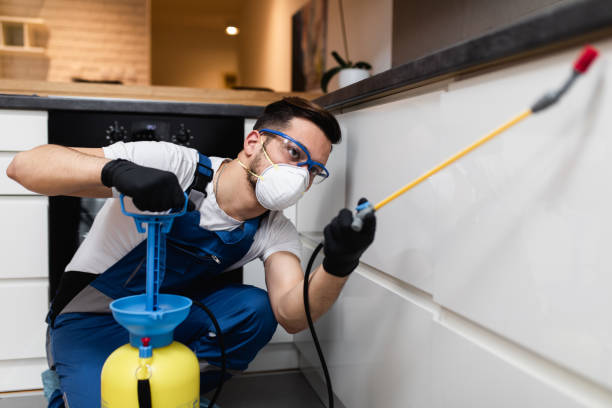 Best Wildlife Control Services  in Odon, IN