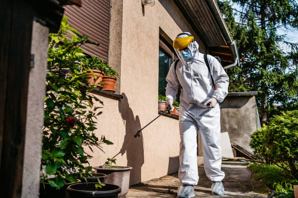 Best Rat Extermination Near Me  in Odon, IN