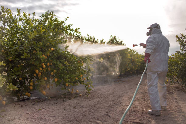 Best Pest Control Near Me  in Odon, IN