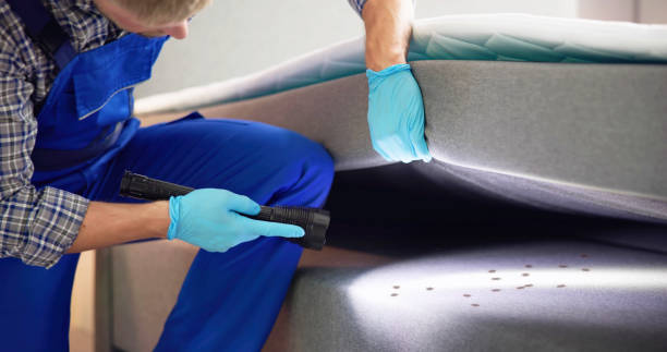 Professional Pest Control in Odon, IN