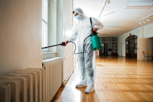Best Wasp Removal Services  in Odon, IN