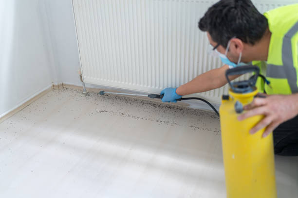 Best Exterminator Services  in Odon, IN
